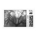 oak tree at sunrise, in fog postage