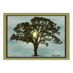 Oak Tree at Sunset Art Card Business Card Templates