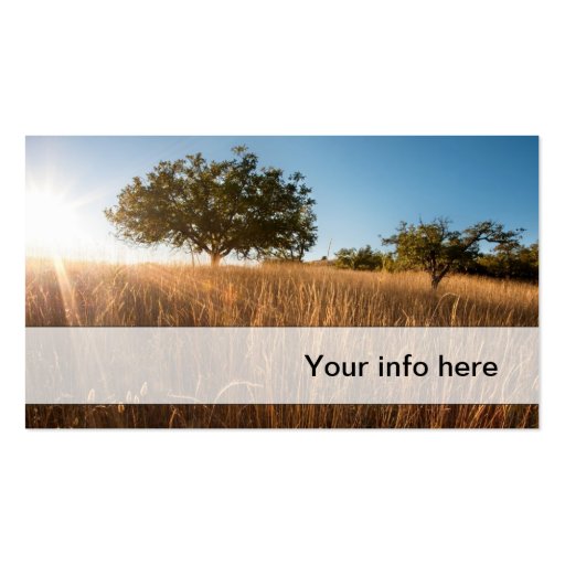 Oak tree in sunny golden meadow business card template (front side)