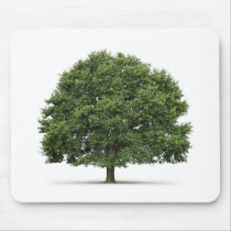 Oak Tree mousepads by bocagenaturel Oak Tree mousepads
