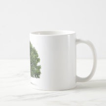 Oak Tree Mug