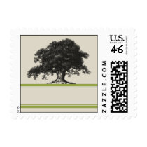 Oak Tree Plantation in Green Stamp
