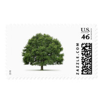 Oak Tree postage by bocagenaturel Oak Tree postage