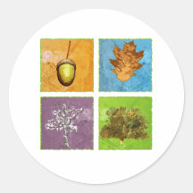 Oak Tree Round Stickers