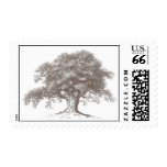 Oak Tree Stamp - brown