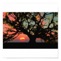 Oak Tree Sunset posters by michaelsnugent Oak Tree Sunset posters