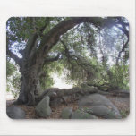 Oak Tree Temple - Angel Light mousepads