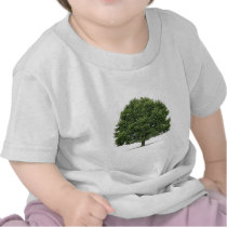 Oak Tree Tshirts