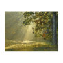 Oak Tree with Morning Sunbeams Post Card