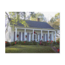 "oakalley" postcards by holycrocodile "oakalley" postcards