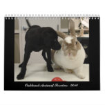 Oakland Animal Services - 2010 Wall Calendar