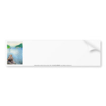 Oakridge Reservoir #4 bumper stickers by dlmtleArt Oakridge Reservoir #4 bumper stickers