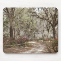 Oaks and Spanish Moss Mouse Pads
