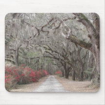 Oaks and Spanish Moss Mousepad
