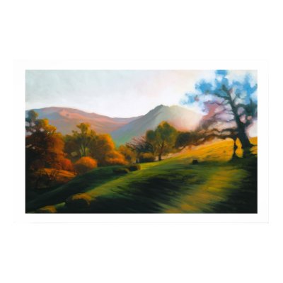 Oaks in Poly Canyon Poster by danberkeland