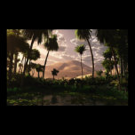 Oasis
