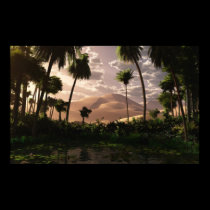 Oasis posters