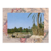 Oasis, southern Morocco Postcard