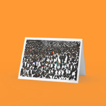 OAT and the penguins GREETING CARD