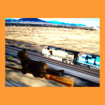 oat on a broomstick next to train posters