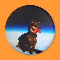oat on a broomstick over earth5 magnets