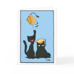oat, graduation, card, onyx, topaz, cats,
