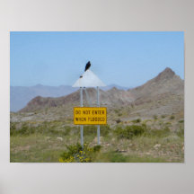 Oatman, AZ - Do Not Enter When Flooded Poster