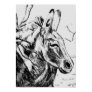 Oatman Burro, Oatman, AZ ...