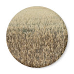 Oats Big Field Fridge Magnet