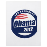 Obama 2012 custom flyer