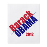 Obama 2012 Flyer