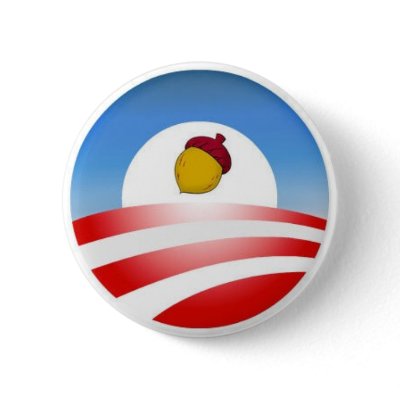 Obama Acorn Pinback Buttons by jdgrimes