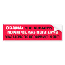 OBAMA AUDACITYof INEXPERIENCE MAKE-BELIEVE & HYPE! Bumper Stickers