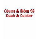 Obama & Biden '08Dumb & Dumber, Obama & Biden '... t-shirts by jenniekurono Obama & Biden '08Dumb & Dumber, Obama & Biden '... t-shirts