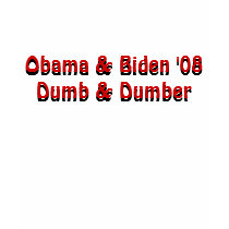 Obama & Biden '08Dumb & Dumber, Obama & Biden '... t-shirts
