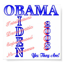 Obama Biden 2008 Poster posters