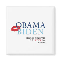 Obama Biden Magnet - anti Palin/McCain