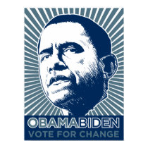 Obama Biden Poster posters