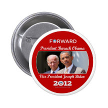Obama / Biden: The Team For You Buttons