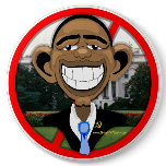 OBAMA PIN
