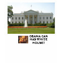 OBAMA CAN HAS WHITE HOUSE? LOL CAT t-shirts by maximus7 OBAMA CAN HAS WHITE HOUSE? LOL CAT t-shirts