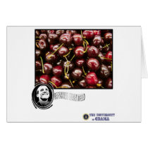 Obama Cherry FRESHNESS GUARANTEED cards by TheUniversityofObama Obama Cherry FRESHNESS GUARANTEED cards