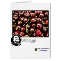 Obama Cherry FRESHNESS GUARANTEED cards by TheUniversityofObama Obama Cherry FRESHNESS GUARANTEED cards
