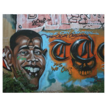 Obama Graffiti Custom Flyer