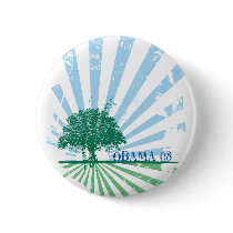 Obama Green Button