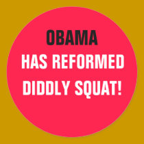 OBAMA HAS REFORMED DIDDLY SQUAT! stickers