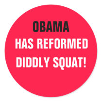 OBAMA HAS REFORMED DIDDLY SQUAT! stickers