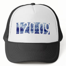 Obama Inauguration hats