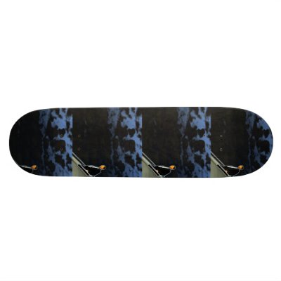 Obama Innauguration Skateboards by Shop_Barack