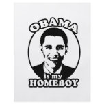 Obama is my homeboy flyer